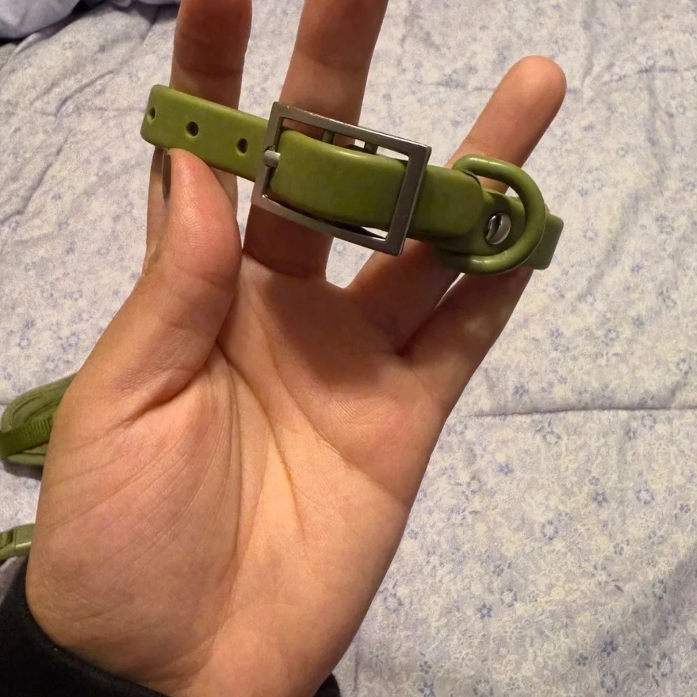 Wildone Harness and Collar